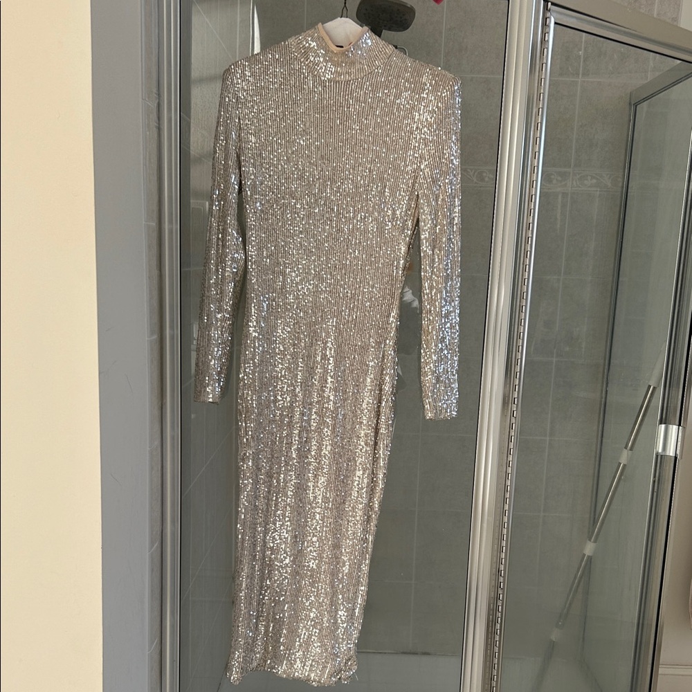 Elegant Silver Sequin Dress